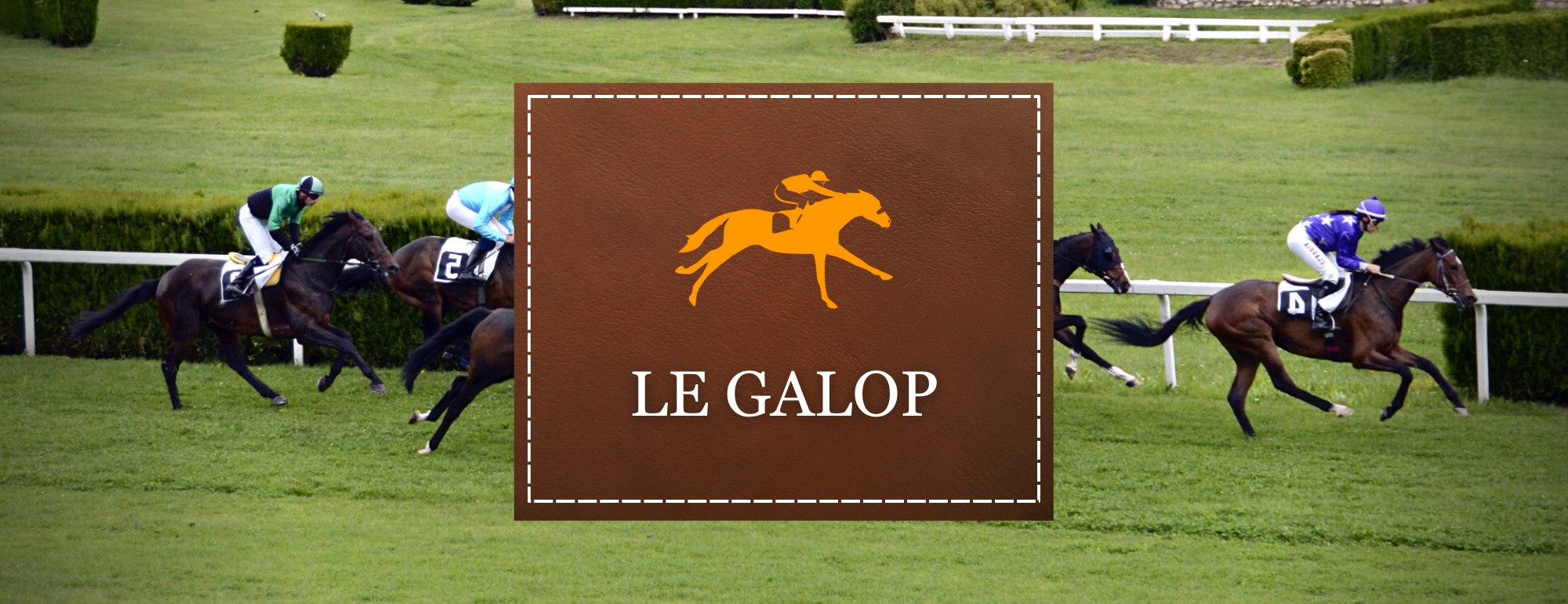 Le galop Sellerie CPNB1